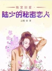独宠旧爱·陆少的秘密恋人 云檀 小说